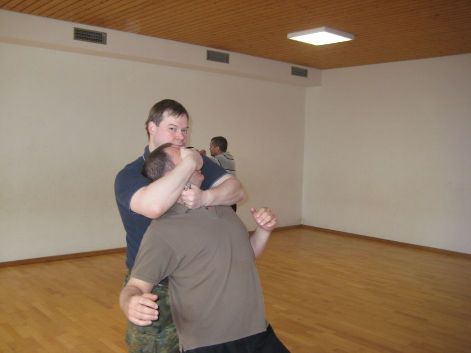 Palmstick Nahaufnahme